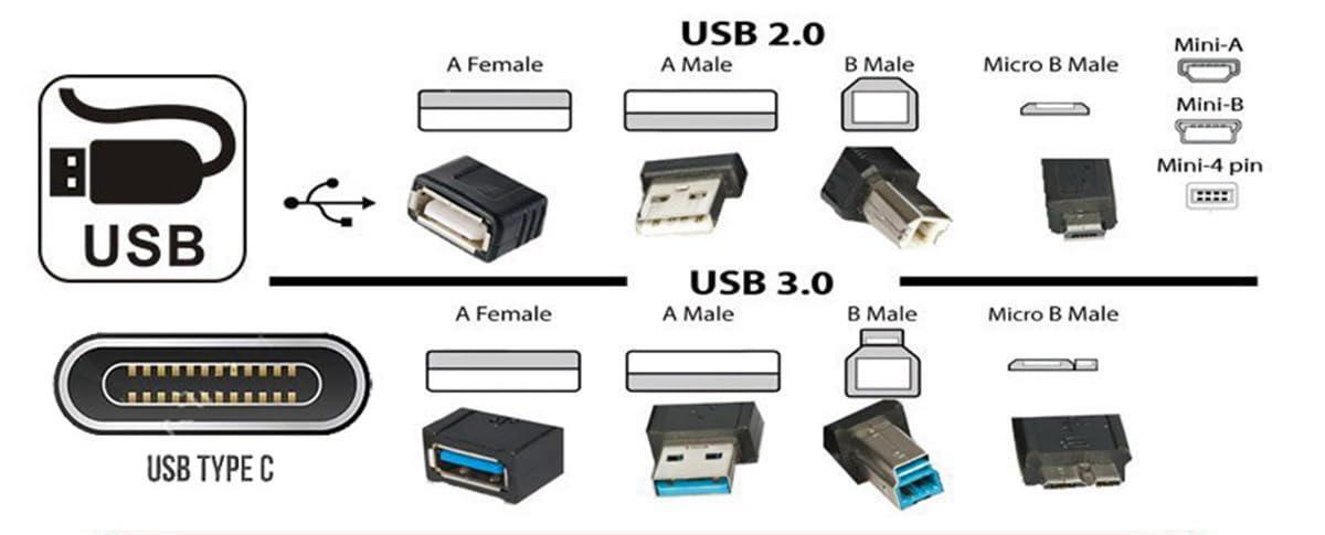 Usb X Discover why USB transfer speeds vary even with the same connector ...