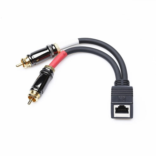 Deep Dive: The RJ45 Female to Dual RCA Male Adapter Cable Designed for AXIA Compatibility