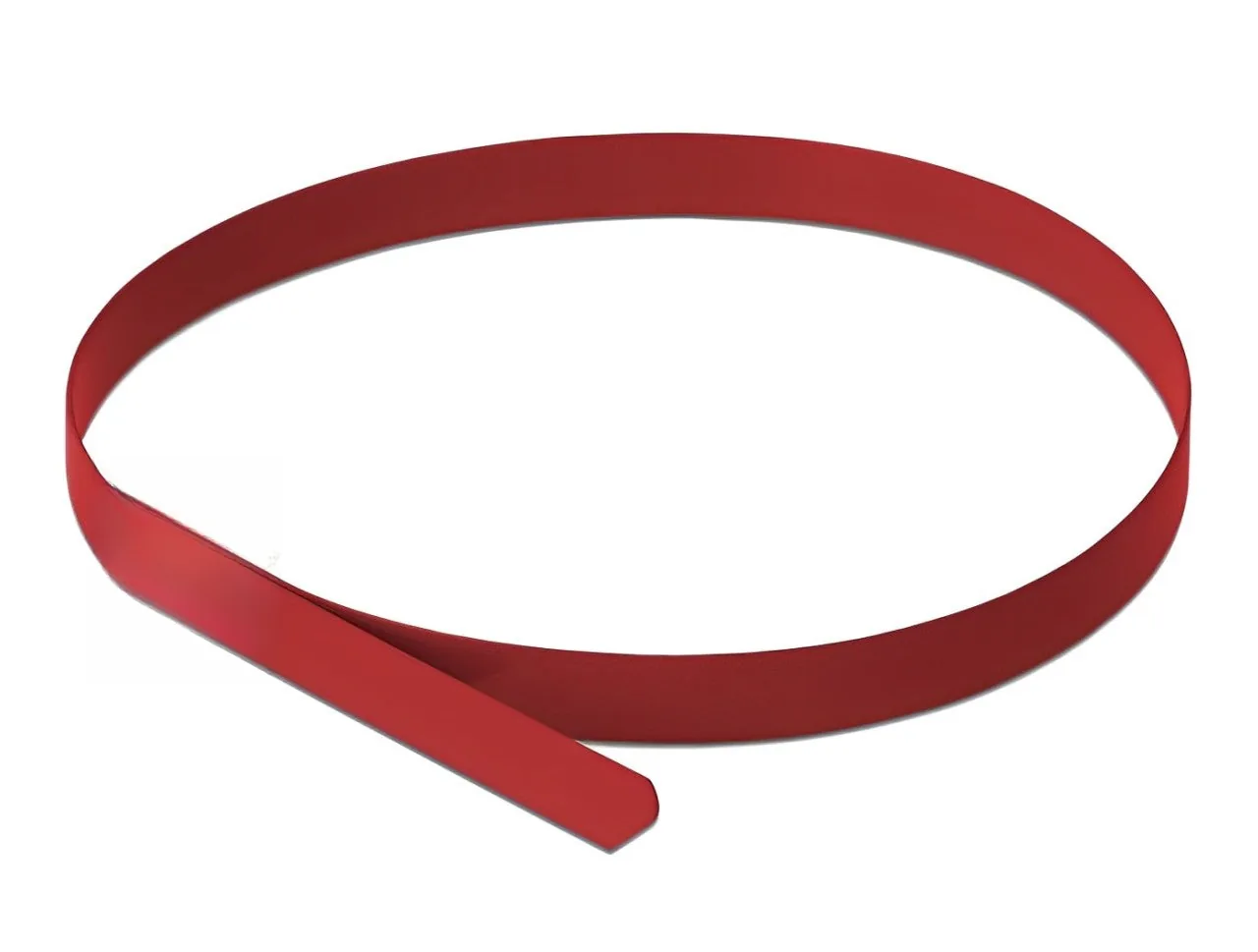 Elecbee Stainless Steel Cable Ties L 200 x W 4.6 mm red 10 pieces