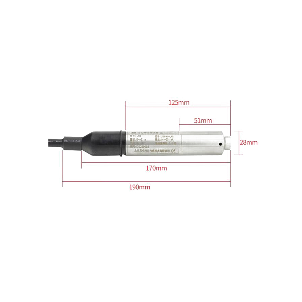 Elecbee EB-JYB-KO-L Submersible Deep Well Liquid Level Transmitter