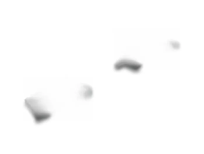 Elecbee Dust Cover for USB 3.0 Type Micro-B female without grip 10 pieces black